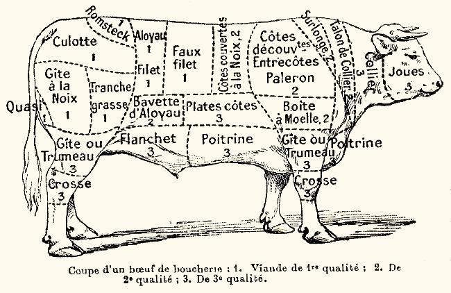 Coupe d'un boeuf de boucherie