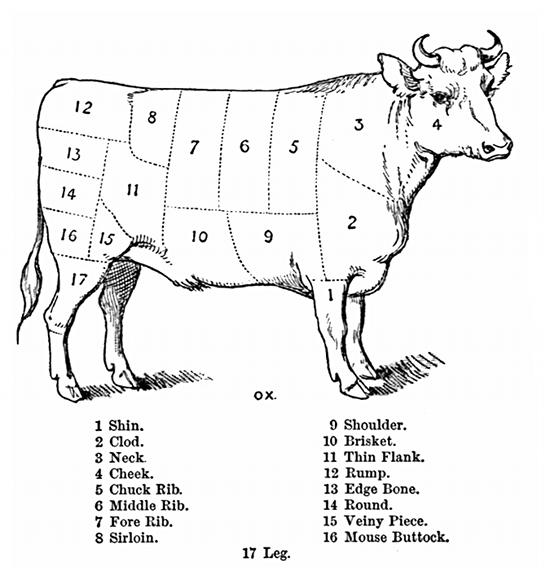 Ox