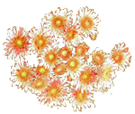 flowers025.gif