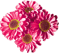 flowers026.gif