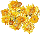 flowers032.gif