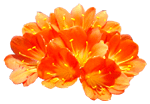 flowers033.gif