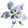 flowers037.gif