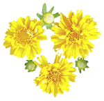 flowers041.gif