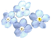 flowers052.gif