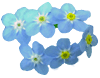 flowers054.gif