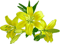 flowers078.gif