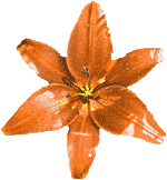 flowers080.gif