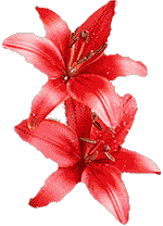 flowers082.gif