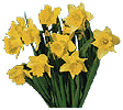 flowers092.gif