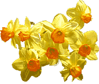 flowers104.gif