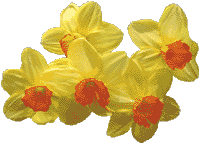 flowers105.gif