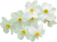 flowers108.gif