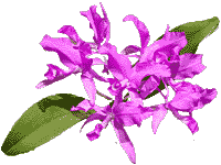 flowers119.gif