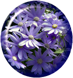 flowers170.gif