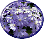 flowers171.gif