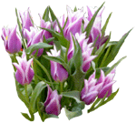 flowers182.gif