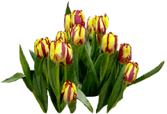 flowers186.gif